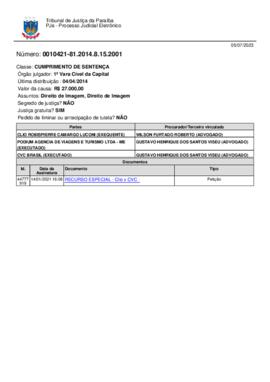 RECURSO ESPECIAL - Clio x CVC -.pdf