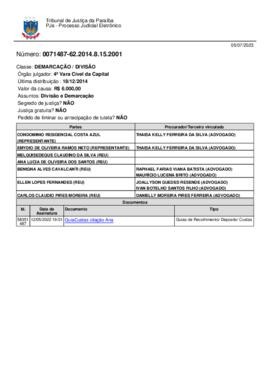 GuiaCustas citação Ana.pdf