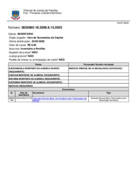 Decisão Monocrática Terminativa sem Resolução de Mérito.pdf